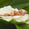 Natural Ingredients in Hot Wax
